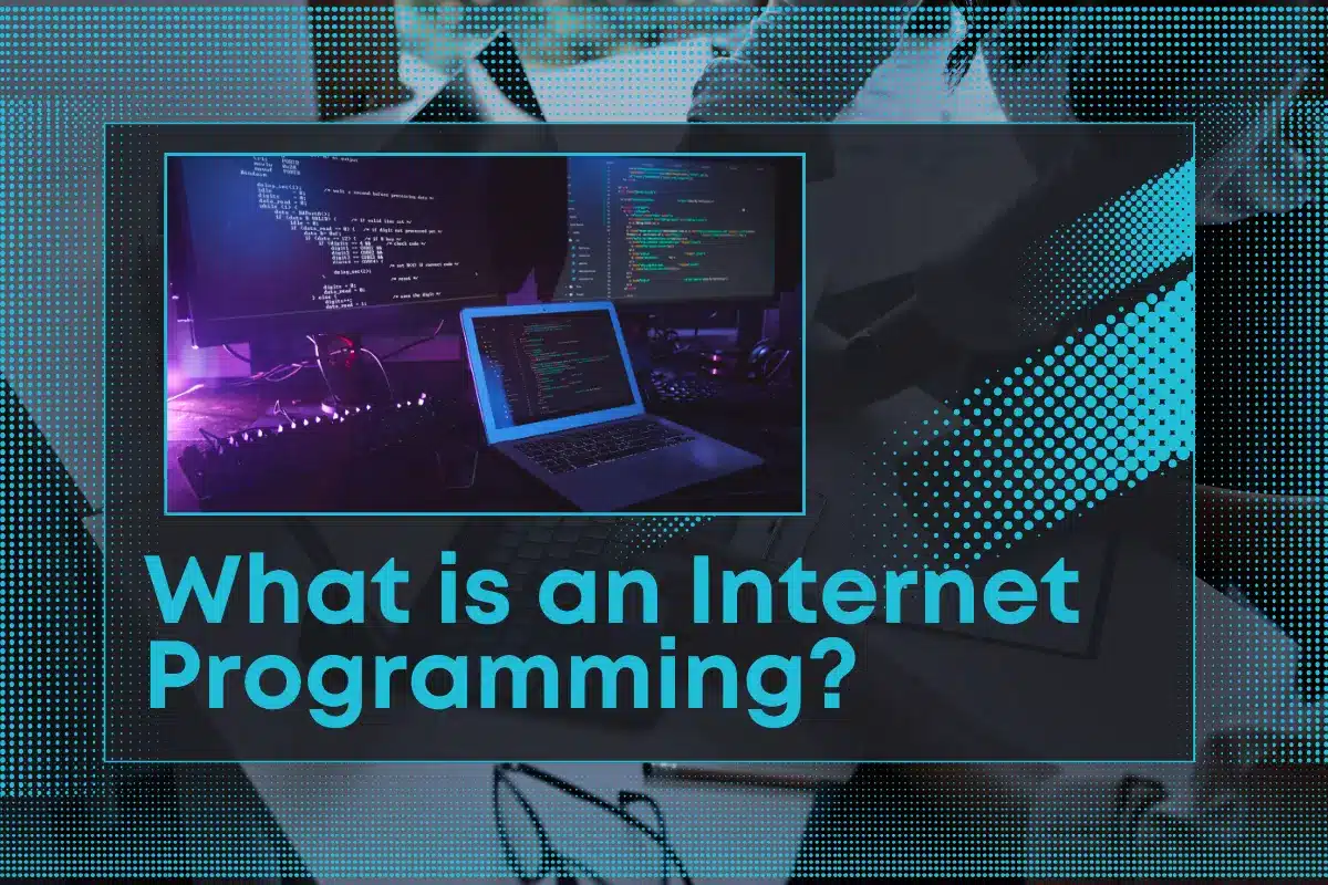 What is Internet Programming